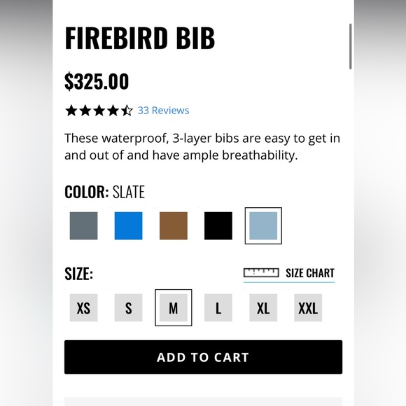 NWT Flylow Firebird bib - Picture 4 of 4